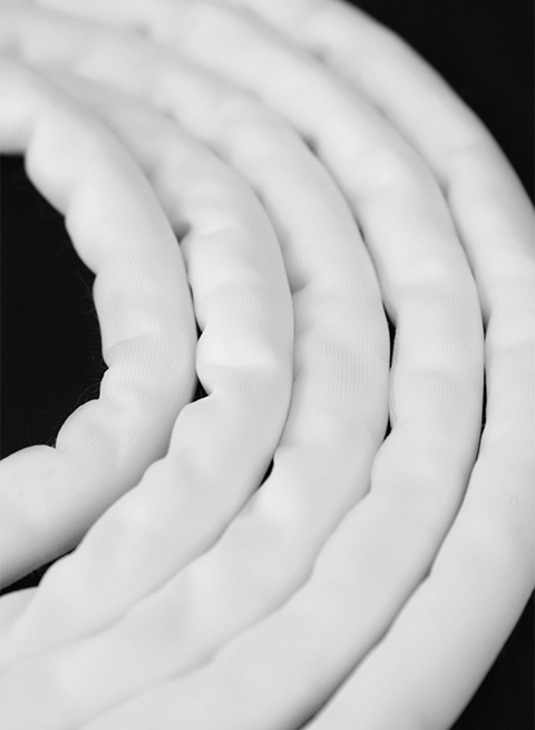 Ganse-04